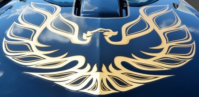 Gold eagle linework decal on a blue car bonnet
