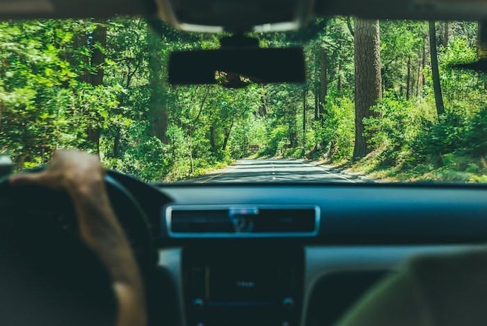 Photograph of a car driving down a road through a luscious green forest