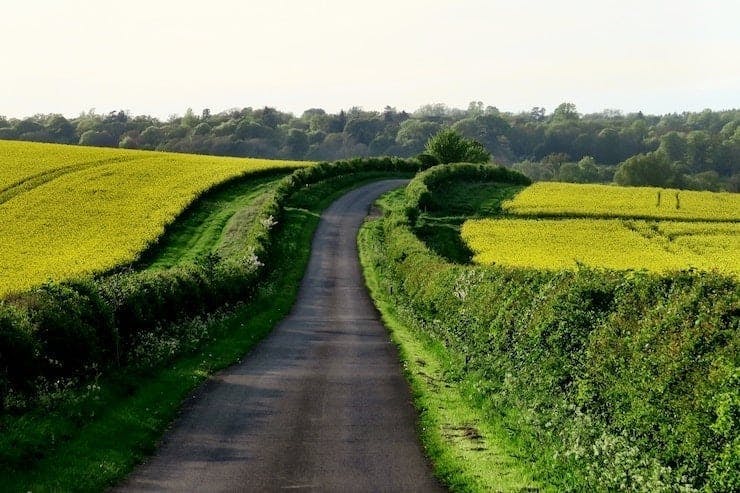 Photograph of a single carriageway country road