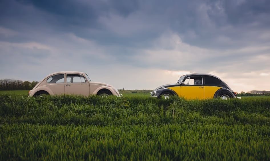 Two beetle brand cars in a grass field
