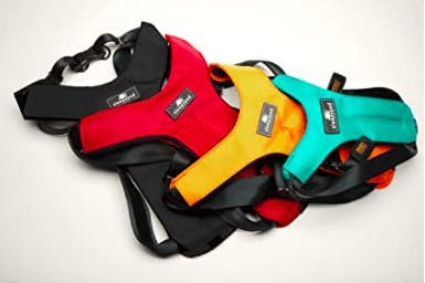 3 different colour dog harnesses 