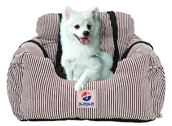 A small white dog in a car booster seat