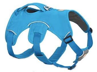 A blue dog harness 