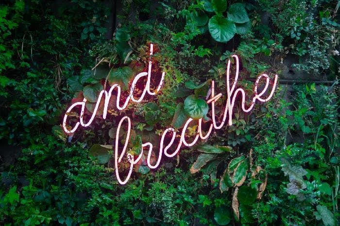 A neon sign that says "and breathe" aimed at people nervous about driving