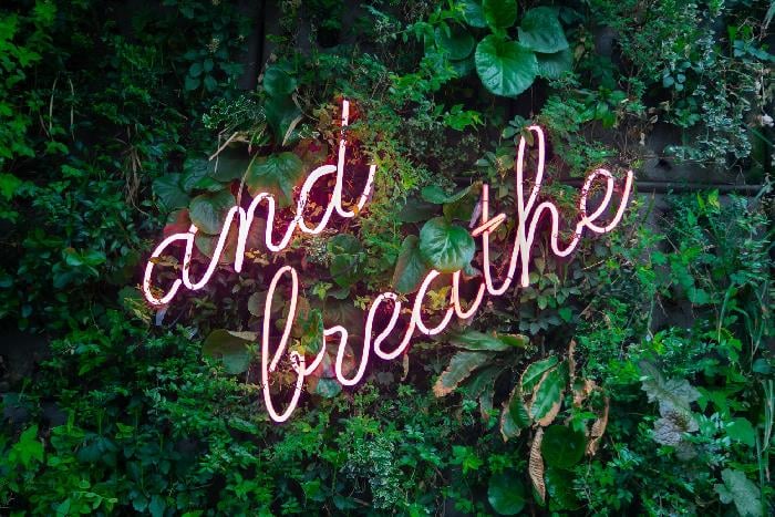 Neon sign on green leaves reading 'and breathe'