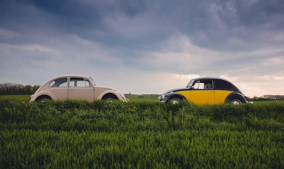 Two Beetle cars facing each other in a field
