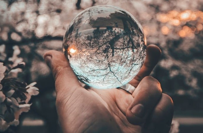 Close-up of hand holding crystal ball in front of tree